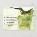 Recherche de nid de colibri cartes postales Pour tous