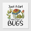 Recherche de insectes magnets Apiculture