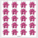 Search for organizing stickers Organize