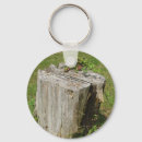 Search for stumped Stumps