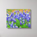 Search for bluebonnets art Flowers