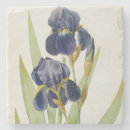 Search for botany barware Redoute