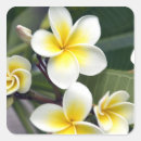 Search for cook islands stickers Tropical