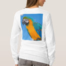 Recherche de le macao Oiseau