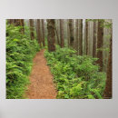 Recherche de paisible posters Solitude