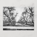 Search for spooky tree Trees