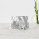 Search for yorkie cards Dog