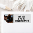 Search for siamese return address labels Blue eyes cat