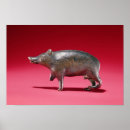 Search for boars posters Animal