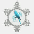 Search for indian ringneck parrot Parrots