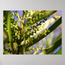 Search for botanica art Green