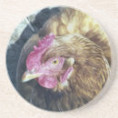 Search for chicken coasters Watercolor
