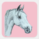 Search for arabian horse stickers Equestrian