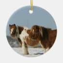 Search for miniature horse ornaments Equestrian