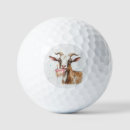 Search for goat golf balls Birthday