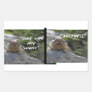 Search for grounding stickers Squirrels