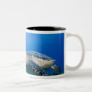 Search for cayman mugs Underwater