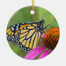 Search for monarch butterfly ornaments Garden