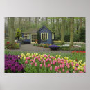Search for keukenhof holland posters Garden