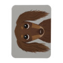 Search for dachshund magnets Doxie
