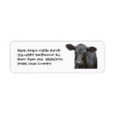 Search for ranching return address labels Calf