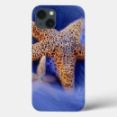 Search for colourful ocean waves electronics Sea life