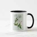 Search for jasmin mugs Flower