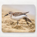 Search for sands mousepads Computer