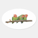 Search for big bird face stickers Birds