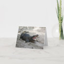 Search for alligator thank you cards Florida