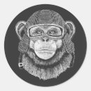 Search for motorcycle helmet stickers Chimpanzee