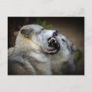 Recherche de consommation cartes postales Image couleur