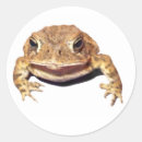 Recherche de toad autocollants Crapauds