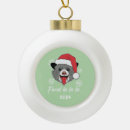 Search for possum ornaments Funny