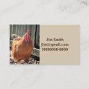 Recherche de poulet rouge cartes visite Volaille