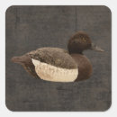 Recherche de canard sauvage autocollants Animaux