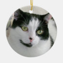 Recherche de chat de ornements Amoureux des chats