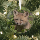 Search for foxes ornaments Animal