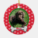 Search for new dog ornaments Puppy