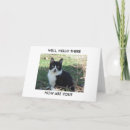 Search for hello greeting photography Animal