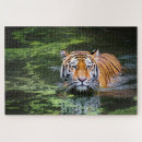 Recherche de natation puzzles Nager