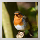 Search for sings posters Nature