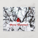 Search for pretty postcards Snow