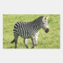 Search for serengeti stickers Tanzania