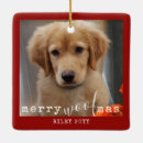 Recherche de dog lover ornaments Pour tous