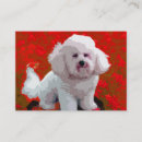Recherche de frise de bichon cartes visite Animal familier