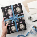 Recherche de taureaux papier cadeau Animal