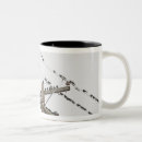 Search for birds on a wire mugs Nature