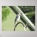 Recherche de geai bleu posters Photographie