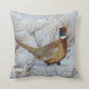 Search for pheasant pillows Ring necked pheasant